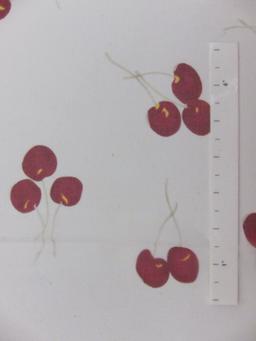 Printed Silk Chiffon1