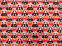 Cotton Broadcloth Print0