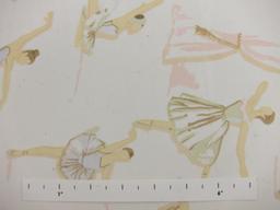 Printed Silk Chiffon0