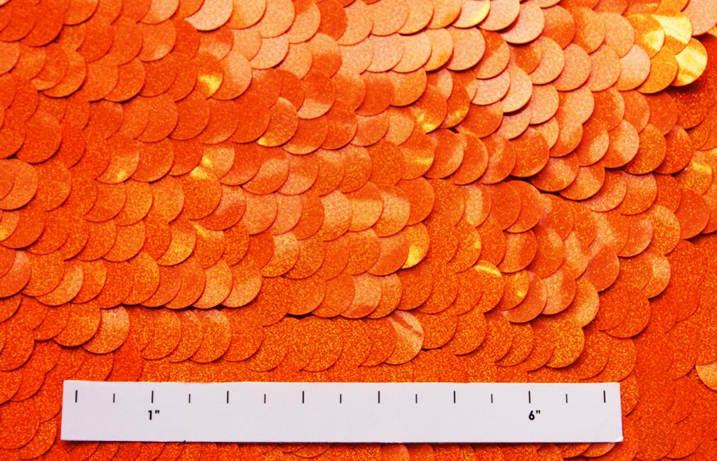 Pailettes on Silk Chiffon1