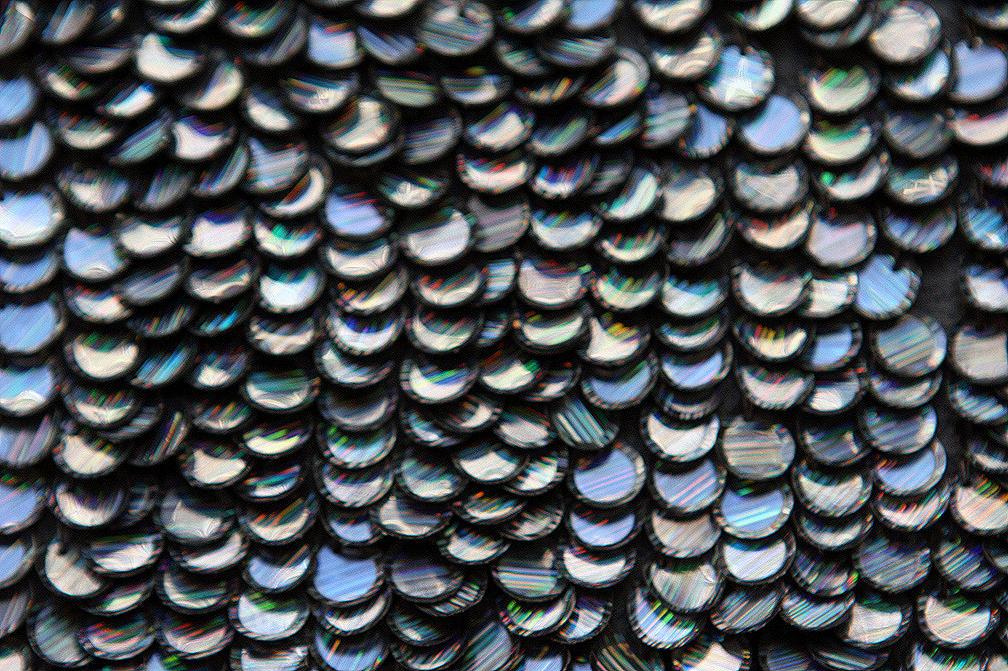 Paillettes on Silk Chiffon3