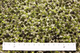 Sequins on Metallic Tulle1