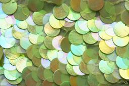 Paillettes on Silk Chiffon1