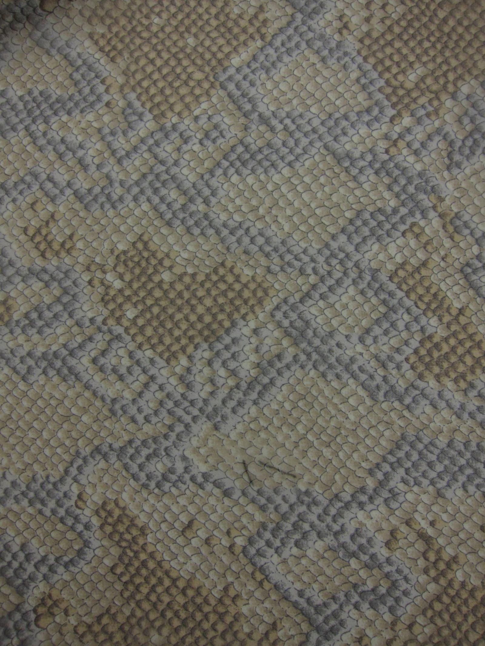 Printed Silk Chiffon0