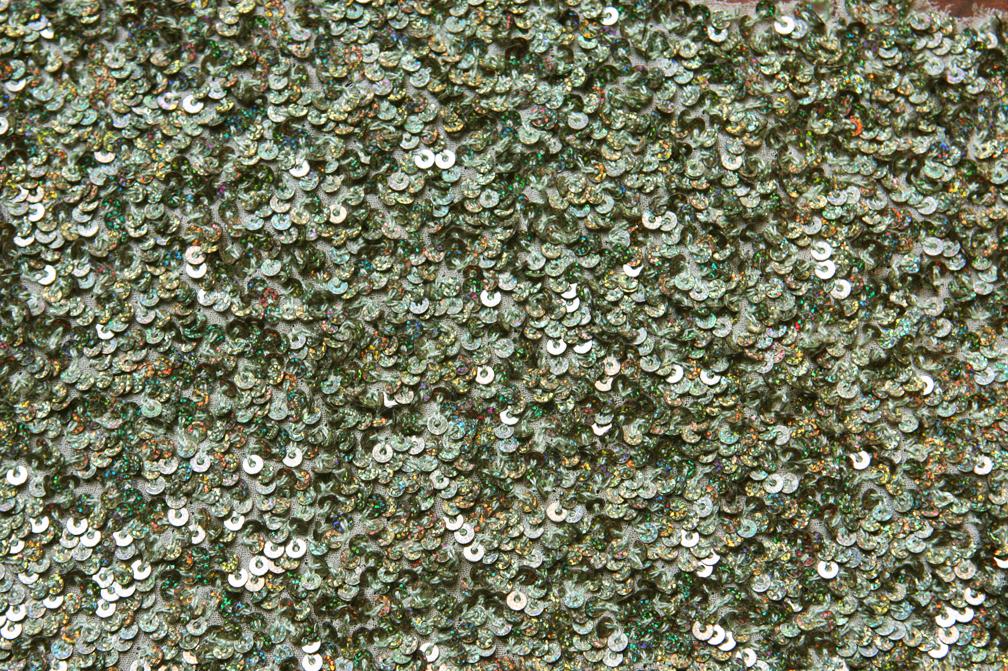 Sequins on Silk Chiffon0