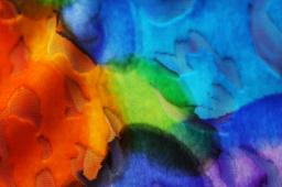 Silk Rayon Burnout Velvet2