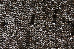 Sequins on Silk Chiffon2