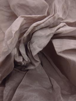 Stretch Metallic Taffeta1