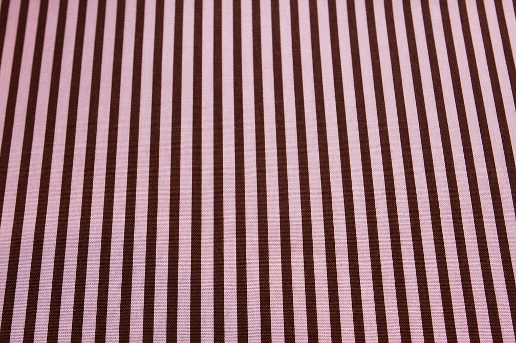 Cotton Canvas 1/4" Stripe In Brown And Pink0
