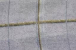 Silk Rayon Lurex BurnOut Velvet2