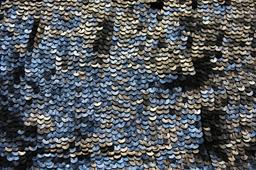 Sequins on Silk Chiffon0