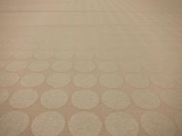 Cotton Broadcloth Print2