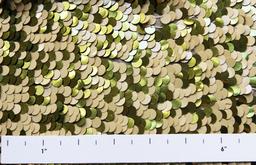 Paillettes on Silk Chiffon2