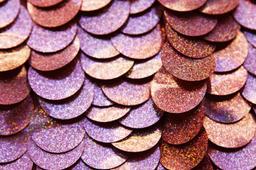 Pailettes on Silk Chiffon3