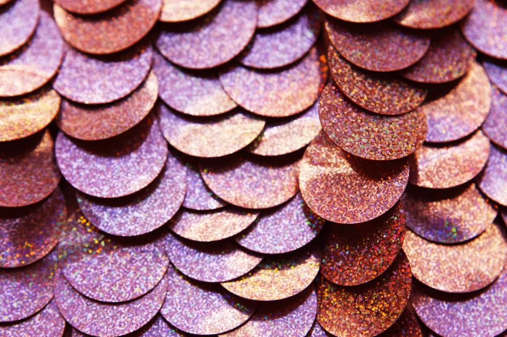 Pailettes on Silk Chiffon3