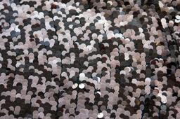 Paillettes on Silk Chiffon0