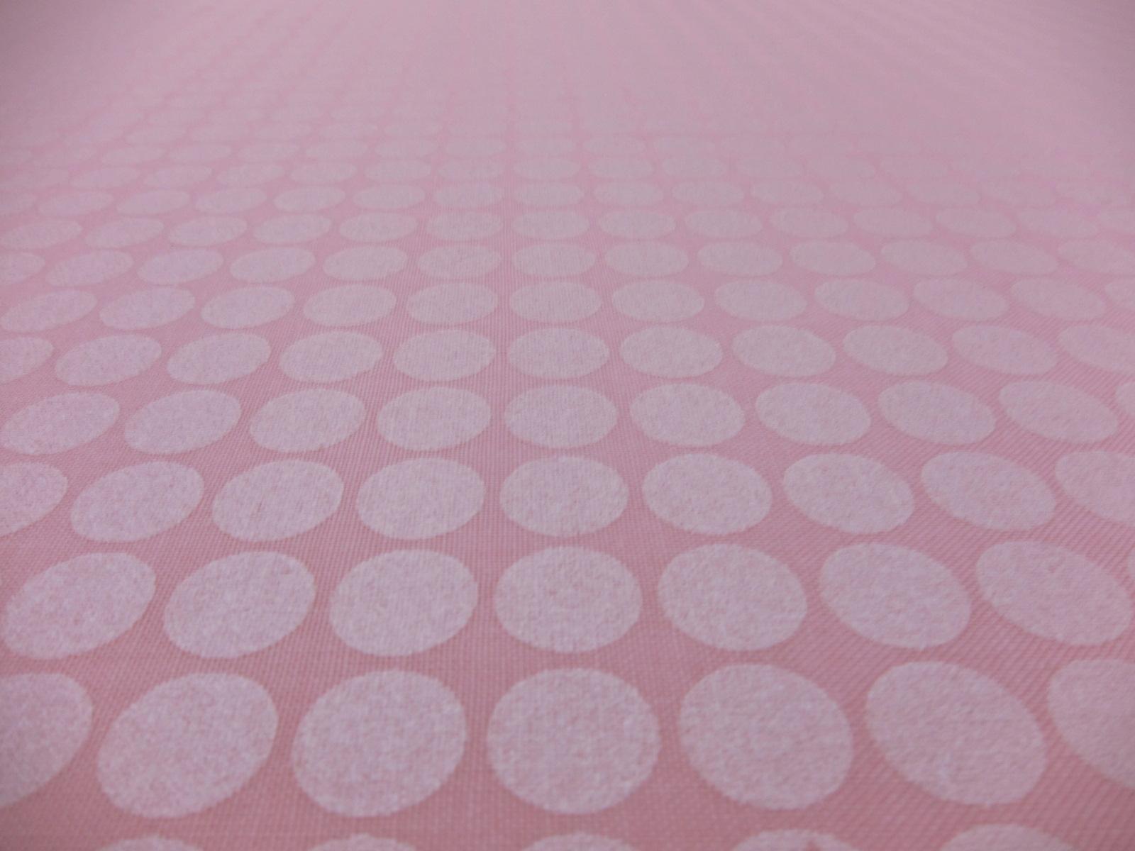 Cotton Broadcloth Print2