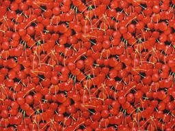 Cotton Broadcloth Print0