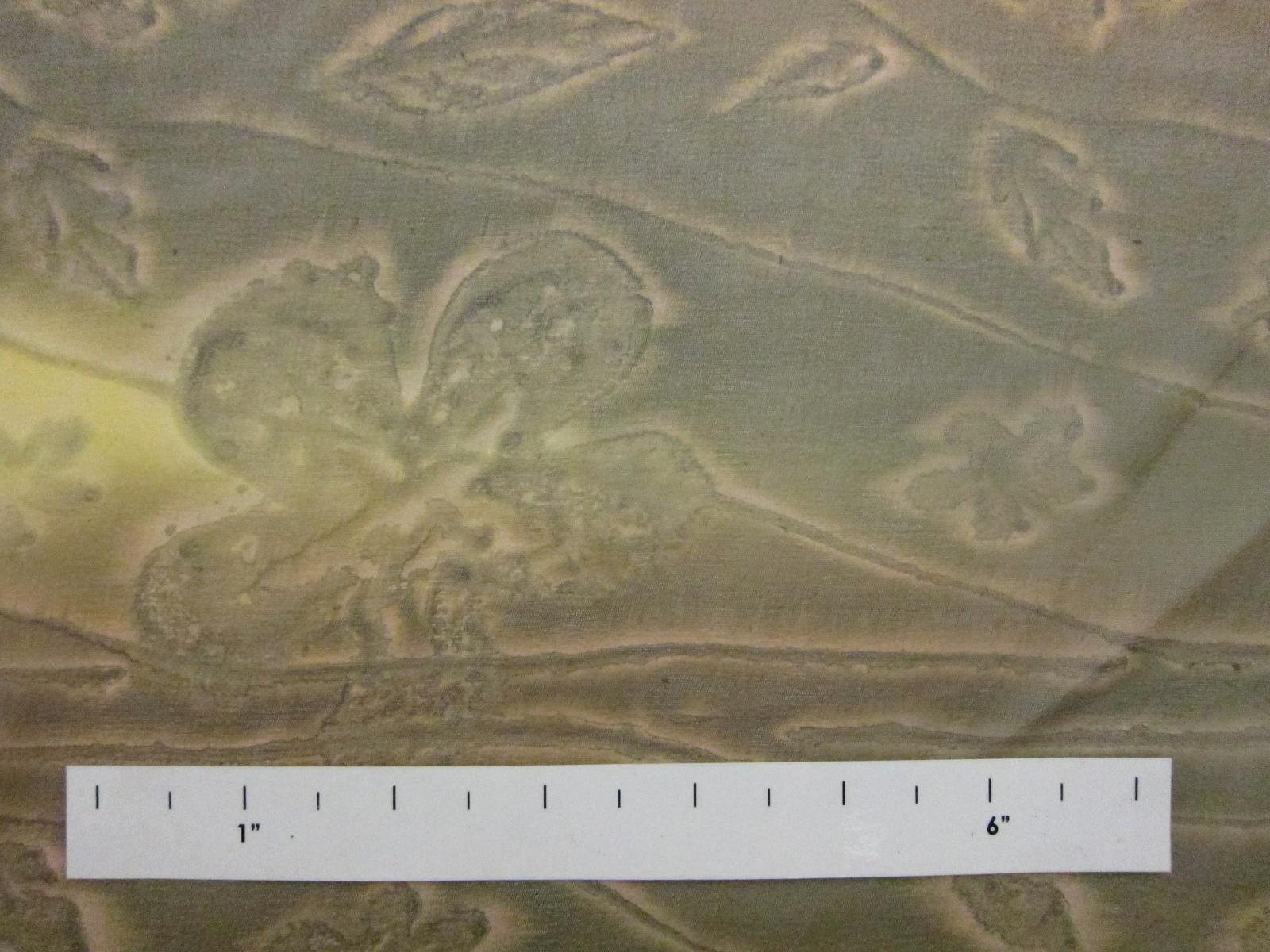 Printed Silk Chiffon0