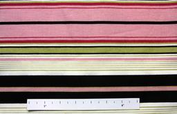 Printed Cotton Canvas1