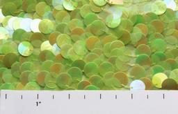 Paillettes on Silk Chiffon2