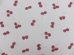 Printed Silk Chiffon0