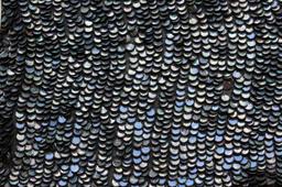 Paillettes on Silk Chiffon1