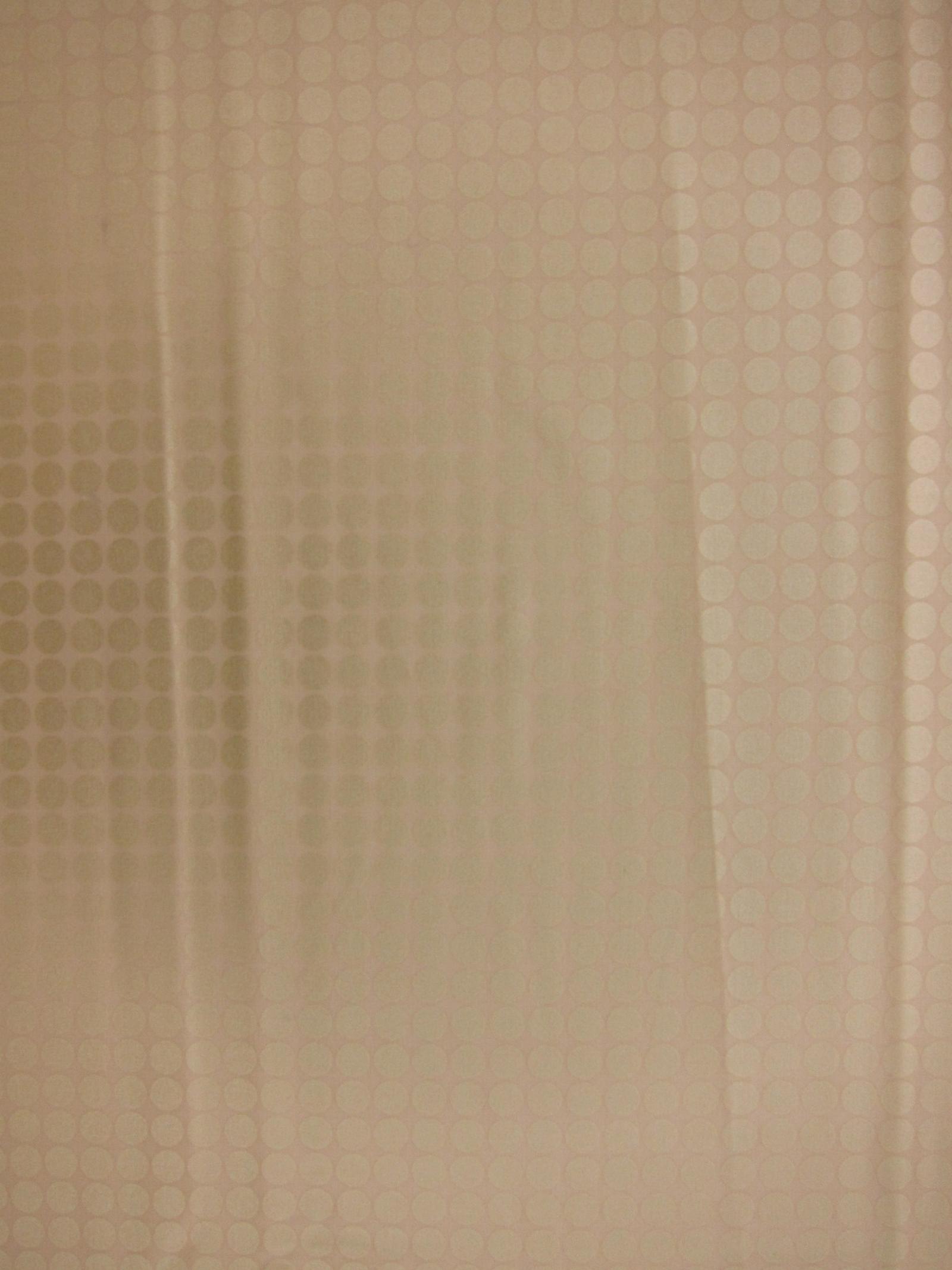 Cotton Broadcloth Print0