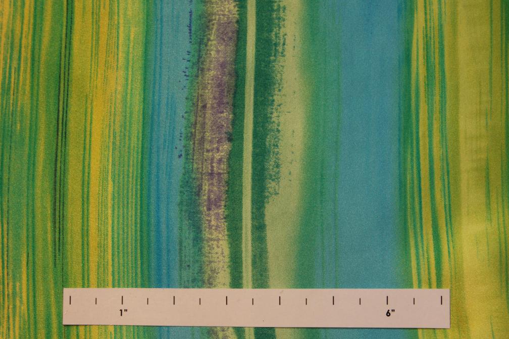 Printed Silk Charmeuse0