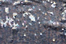 Novelty Paillettes on Silk Chiffon0