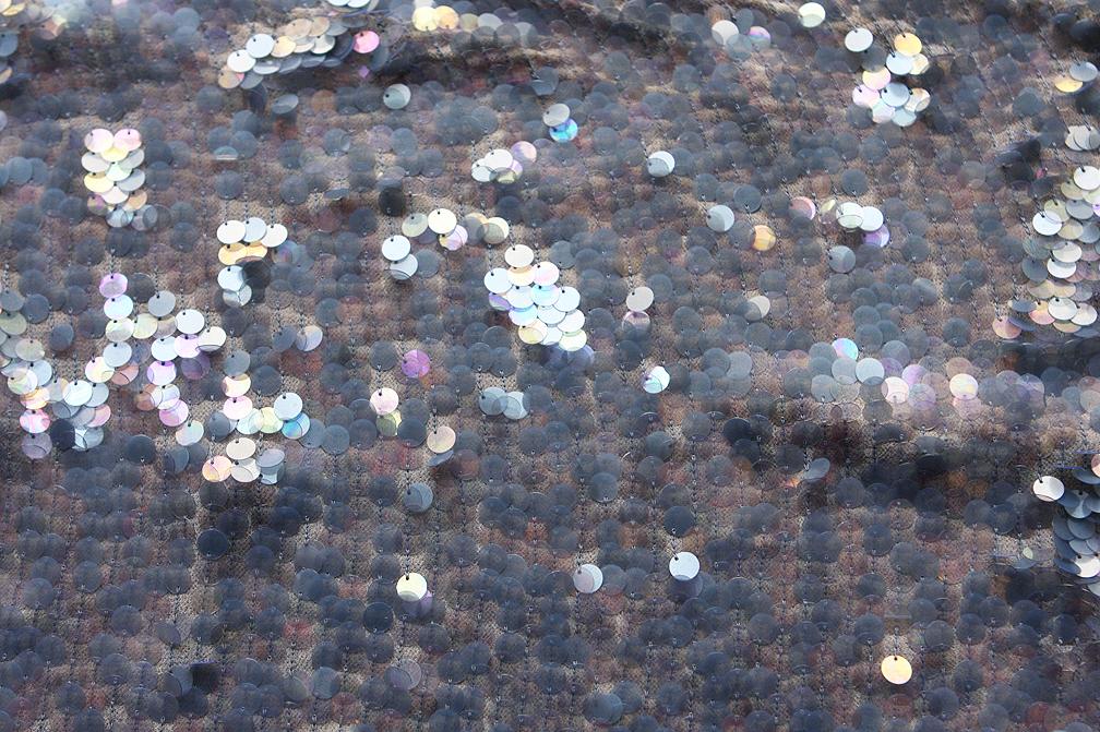 Novelty Paillettes on Silk Chiffon0