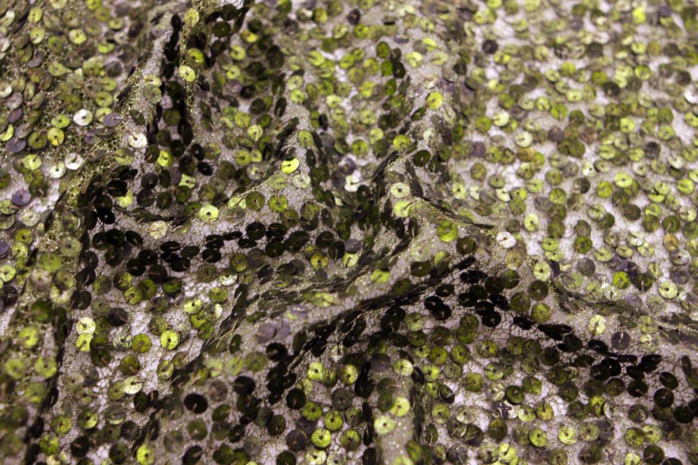 Sequins on Metallic Tulle3