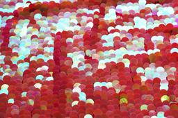 Novelty Pailettes on Silk Chiffon0