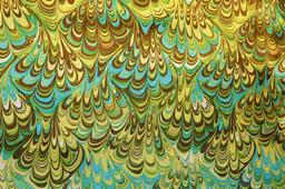 Printed Silk Charmeuse1