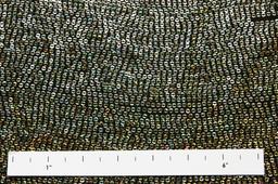 Sequins on Silk Chiffon1