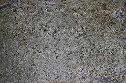 Sequins on Silk Chiffon1