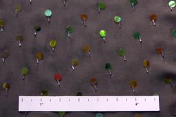 Paillettes on Silk Chiffon1