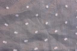 Cotton Embroidered Organdy1