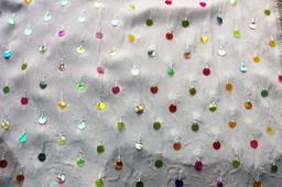 Paillettes on Silk Chiffon0
