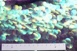 Paillettes on Silk Chiffon2