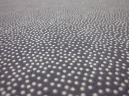 Cotton Broadcloth Print2