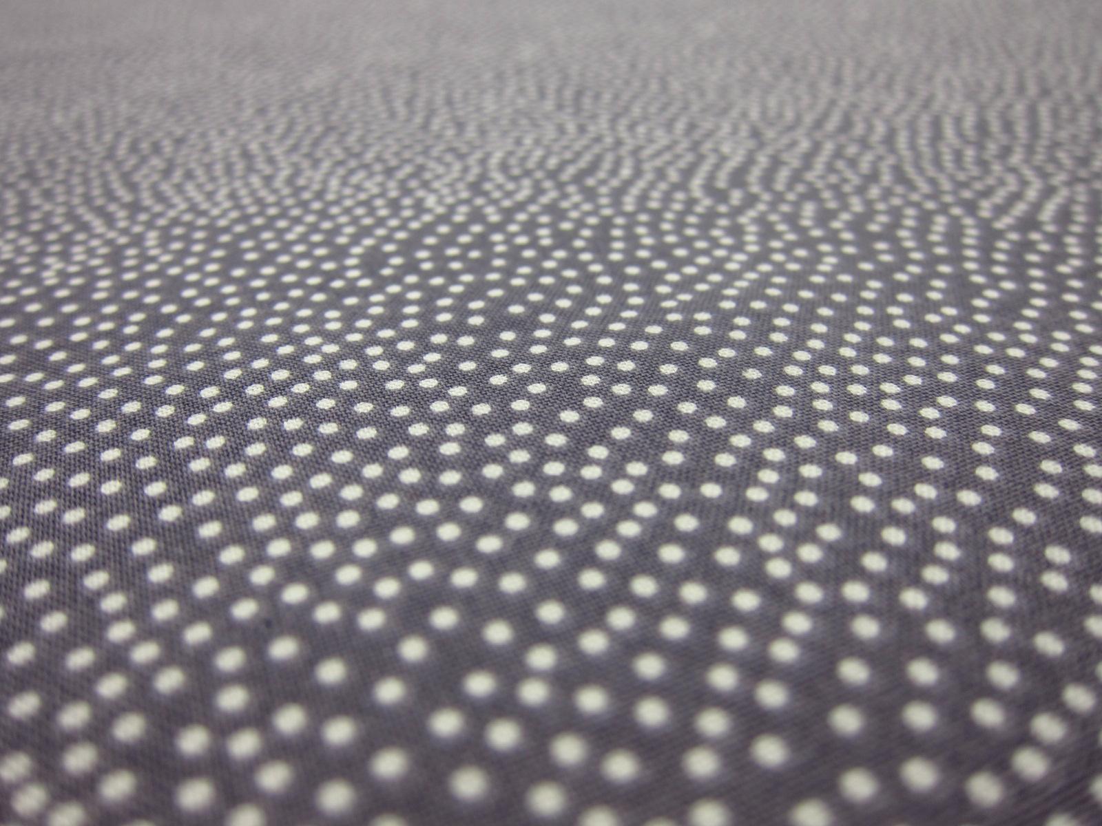 Cotton Broadcloth Print2