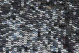 Sequins on Silk Chiffon2