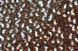 Sequins on Silk Chiffon2