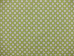 Cotton Broadcloth Print0