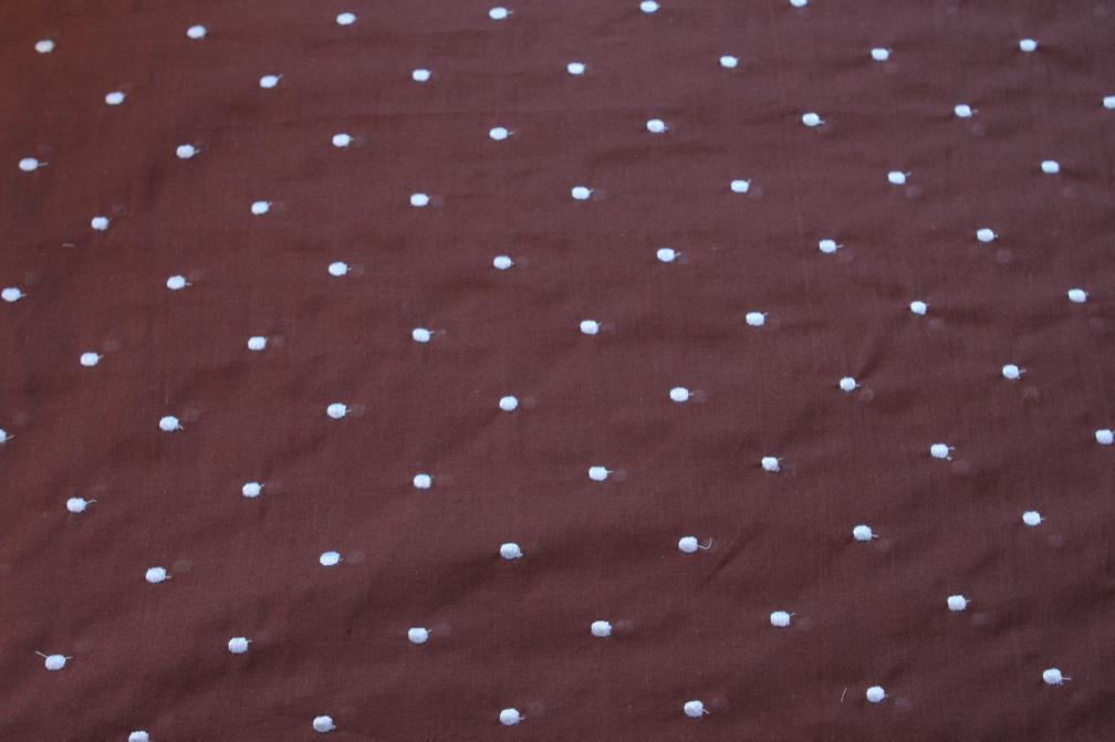 Cotton Embroidered Dots in Blue over Brown0