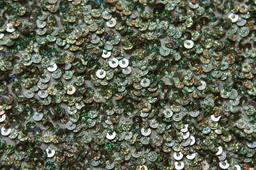 Sequins on Silk Chiffon2