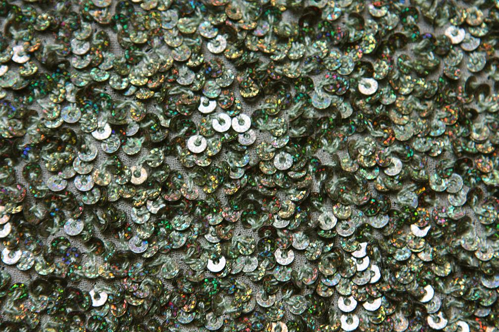 Sequins on Silk Chiffon2