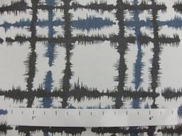 Printed Silk Chiffon0