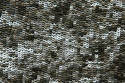 Sequins on Silk Chiffon2